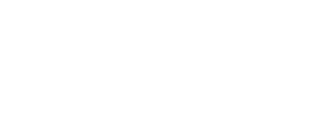 World Scouting